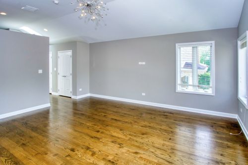 3251 Normal Ave, Chicago IL  60616-3511 exterior