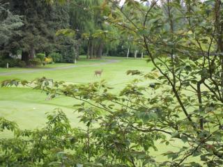 17001 Inglewood Rd, Bothell WA  98028-3963 exterior