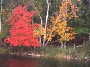 5810 Bass Lk Dr, Slater MN 56672-3080 exterior