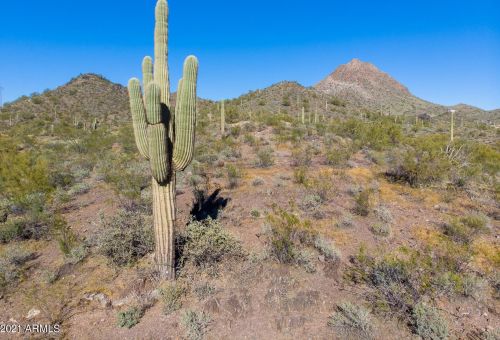 45809 37 Ave, Phoenix AZ 85053-4616 exterior