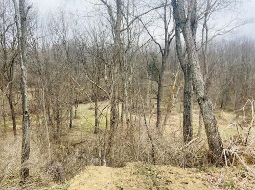 19040 Mckenzie St, Cassopolis MI  49031-9462 exterior