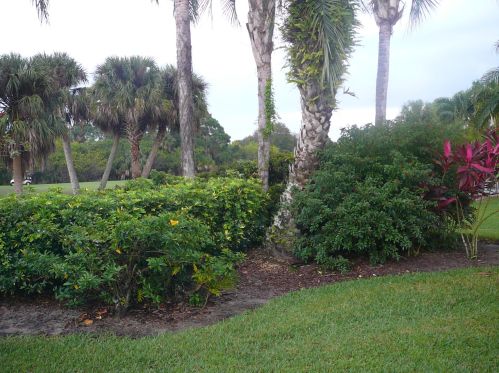 4336 Gator Trce Cir, Fort Pierce FL 34982-6803 exterior