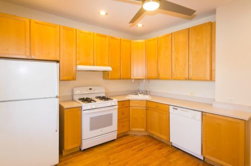 1738 Nelson St, Chicago, IL 60657-3029