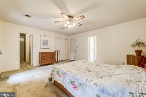 5217 Mitchell St, Alexandria VA 22312-2124 exterior