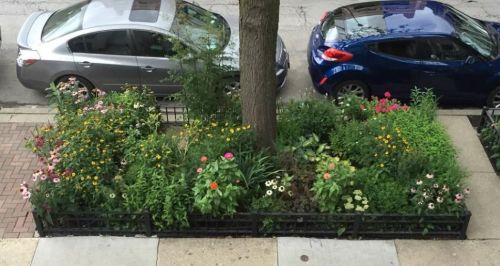 3217 Southport Ave, Chicago IL 60657-3228 exterior