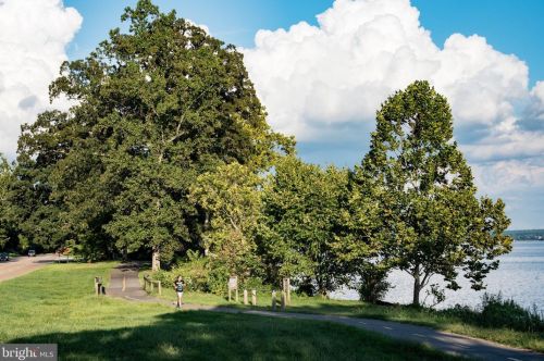 915 Patrick St, Alexandria VA 22314-4071 exterior