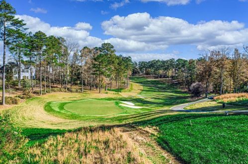 3596 Moye Trl, Duluth, GA 30097-6216