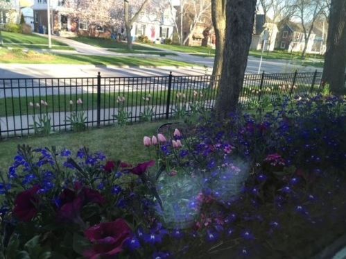 301 Carlisle Ave, Milwaukee WI 53217-4826 exterior