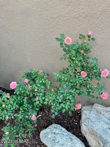 4061 Quiet Moon Dr, Tucson AZ  85718-3427 exterior