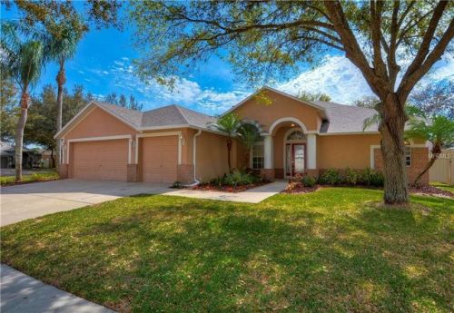 19014 Dove Creek Dr, Tampa FL  33647-3065 exterior