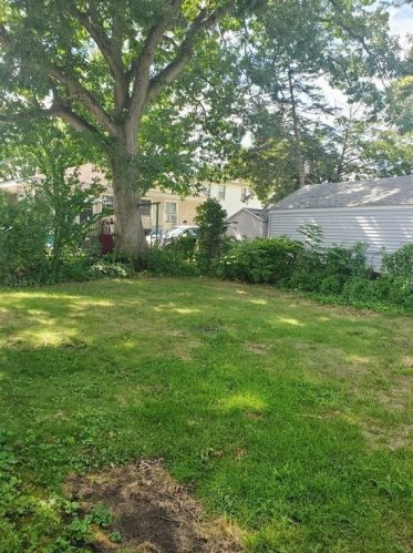 62 Eddy St, Springfield MA 01104-2631 exterior