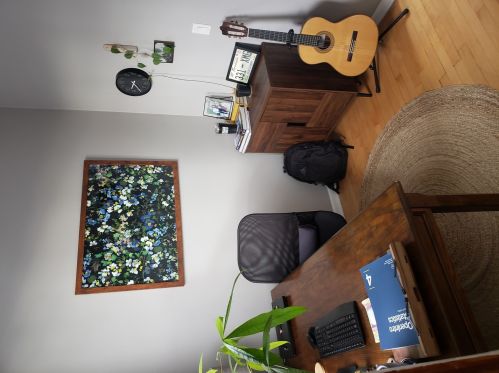 1236 Oakdale Ave, Chicago IL 60657-4222 exterior