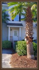 4917 Lake Palmetto Ln, Charleston SC  29418-5991 exterior