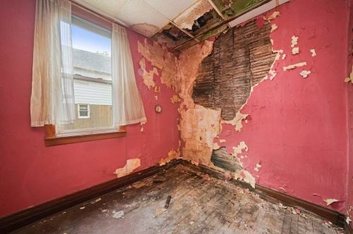 11736 State St, Chicago IL 60628-6135 exterior