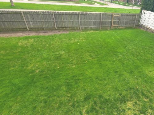 1218 Maywood Dr, Broadview IL 60153-1879 exterior