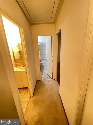 6224 Everglades Dr, Alexandria VA  22312-1109 exterior