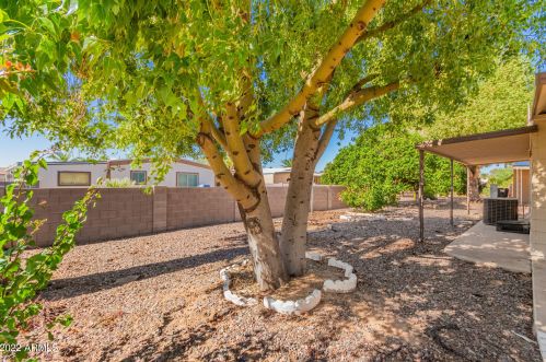 9010 Olive Ln, Chandler AZ  85248-6404 exterior