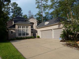 83 Palmer Bend Ct, Spring TX  77381-5401 exterior