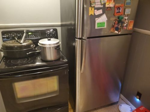 47 Lansing Pl, Springfield MA 01108-1719 exterior