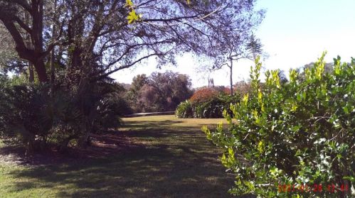 4302 Middle Lk Dr, Tampa FL 33624-3411 exterior