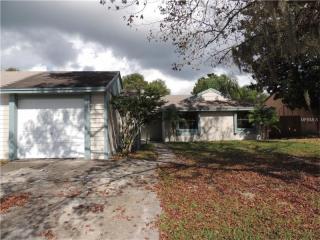 3256 Fox Lake Dr, Tampa FL  33618-1439 exterior