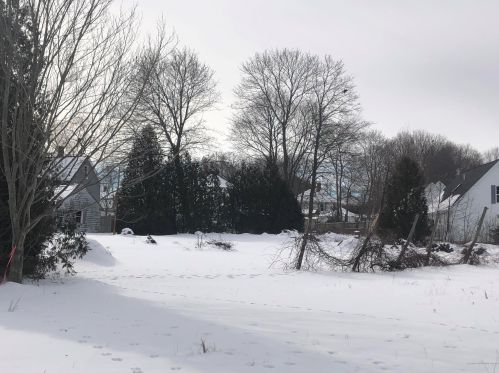 52 Newton St, Portland ME 04103-1525 exterior