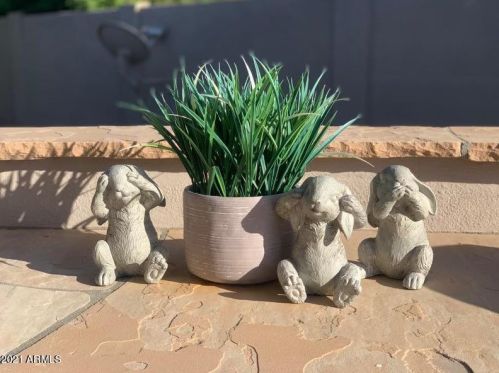 1642 Lynx Way, Chandler AZ 85249-3011 exterior