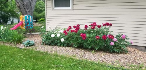 2771 Galtier St, Saint Paul MN 55113-2410 exterior