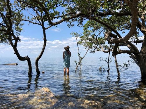 4207 Dale Mabry Hwy, Tampa FL  12105-1423 exterior