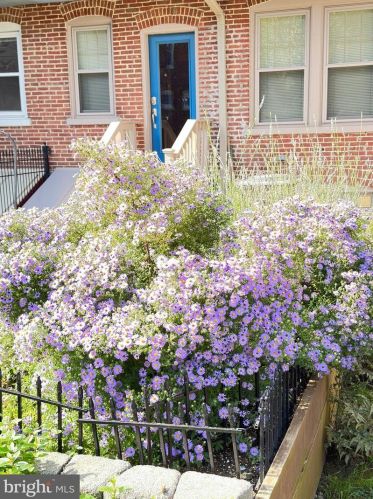 725 Shippen St, Lancaster PA 17602-2714 exterior