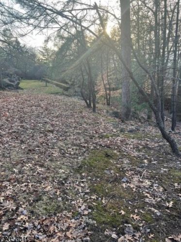 16 Vanderbilt Dr, Livingston NJ 07039-6102 exterior