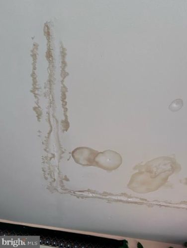 2824 James Dr, Alexandria VA 22303-1338 exterior