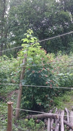 1377 County Road E, Saint Paul MN  55110-5231 exterior