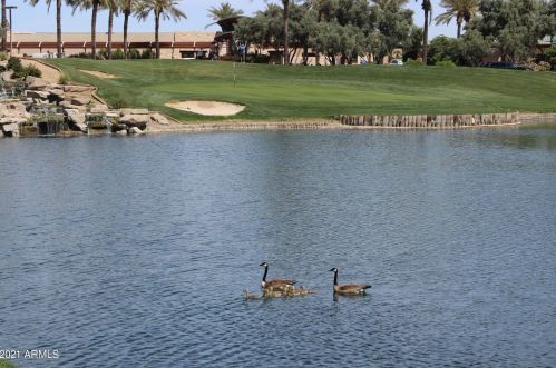 1813 Mead Pl, Chandler AZ 85248-5436 exterior