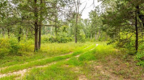 572 Spring Cave Rd, Spring Bluff MO exterior