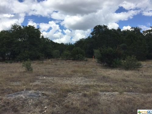 1354 Mystic Shr Blvd, Spring Branch TX 78070-5033 exterior