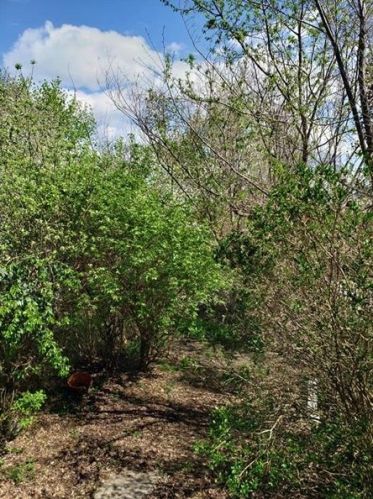 118 Natchez St, Pittsburgh PA 15211-1906 exterior