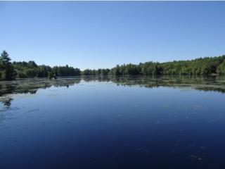 77 New Hampshire Dr, Concord NH  03303-7920 exterior