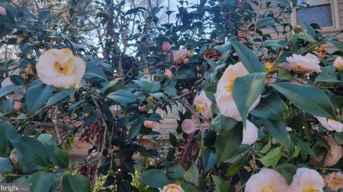 94 Eldrid Dr, Silver Spring MD 20904-2910 exterior