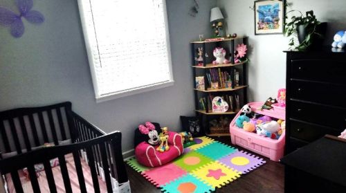 725 Porter St, Waukegan IL 60085-3858 exterior