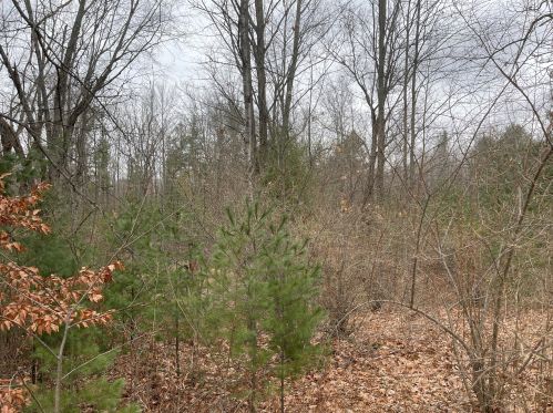 11495 215th Ave, Big Rapids MI  49307-9427 exterior