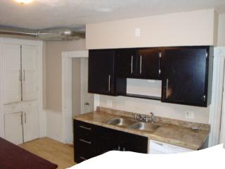 111 Clover St, Pittsburgh PA  15210-2653 exterior