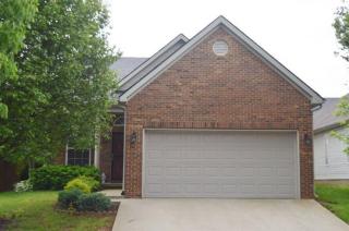 132 Angel Falls Dr, Lexington, KY 40511-8828