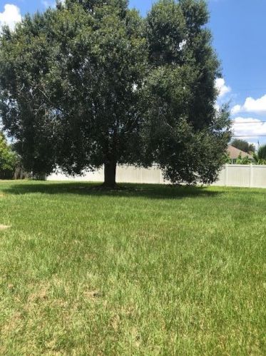 1125 Colorado Ave, Fort Pierce FL 34953-1806 exterior