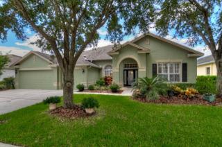 10236 Shadow Branch Dr, Tampa, FL 33647-3116