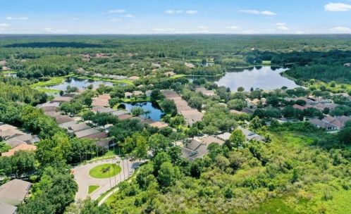 10124 Arbor Run Dr, Tampa FL  33647-2902 exterior