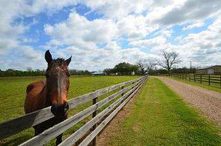 34319 Fulshear Farms Rd, Fulshear, TX 77441-4334