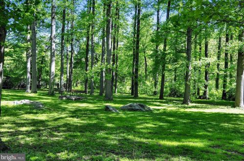 10946 Rocky Mount Way, Silver Spring MD 20902-3687 exterior