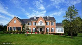 10686 Water Falls Ln, Vienna VA  22182-1301 exterior