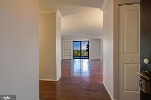 5904 Mount Eagle Dr, Alexandria VA 22303-2534 exterior